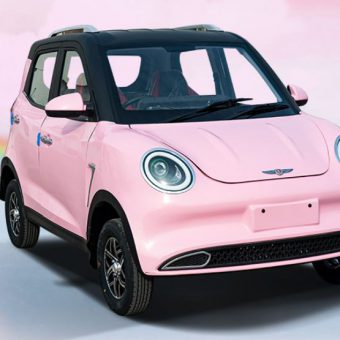 Cute mini EV Ladybug e-Car 3KW 50KM