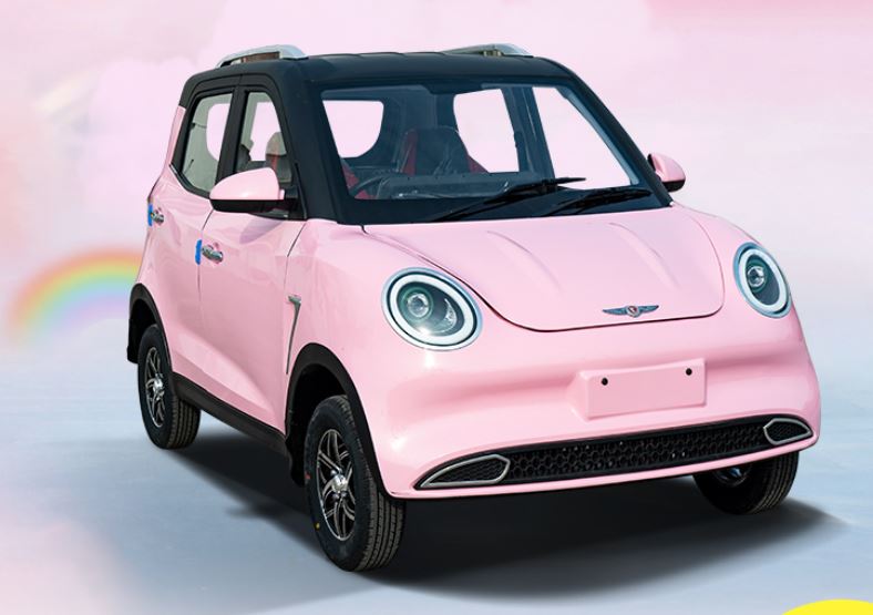 Cute mini EV Ladybug e-Car 3KW 50KM