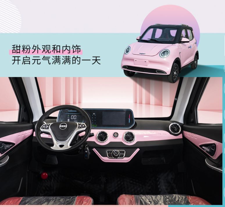 Cute mini EV Ladybug e-Car 3KW 50KM - Image 13