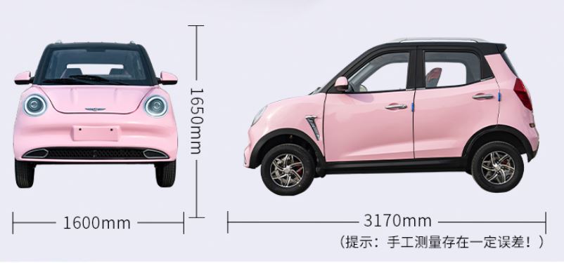 Cute mini EV Ladybug e-Car 3KW 50KM - Image 11