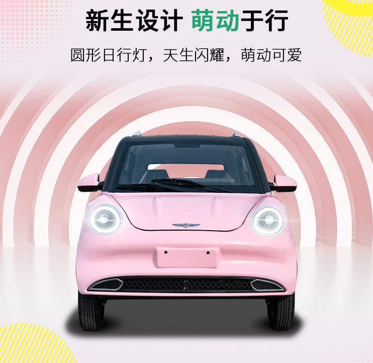Cute mini EV Ladybug e-Car 3KW 50KM - Image 3