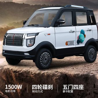 Mini EV City-RV 60V 2.5KW 65KM 5-Door