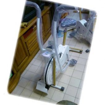 Sport e-Bike 350W Generator