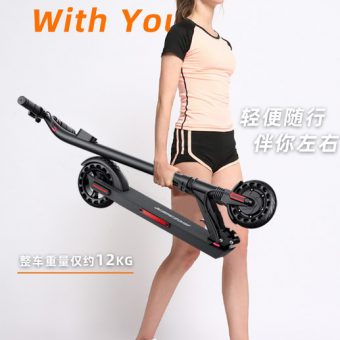 Bremer foldable e-Scooter 250W 12KG